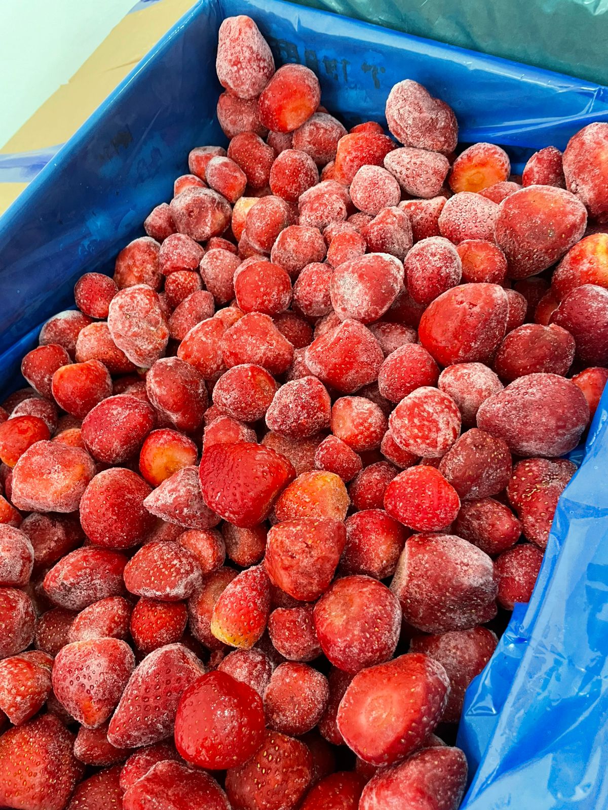 Morango Premium Congelado